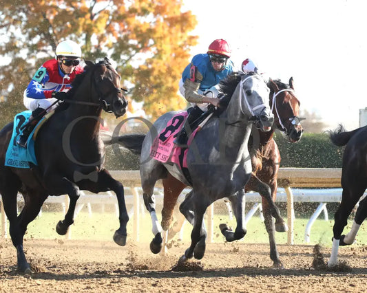Hit Show - The Hagyard Fayette 102624 Race 08 Kee First Pass 01 Keeneland