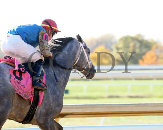 Hit Show - The Hagyard Fayette 102624 Race 08 Kee Gallop Out 01 Keeneland