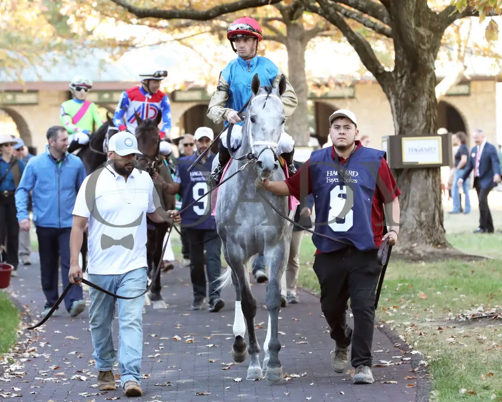 Hit Show - The Hagyard Fayette 102624 Race 08 Kee Paddock 03 Keeneland