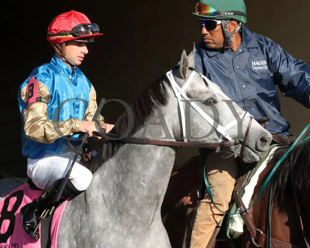 Hit Show - The Hagyard Fayette 102624 Race 08 Kee Post Parade 01 Keeneland