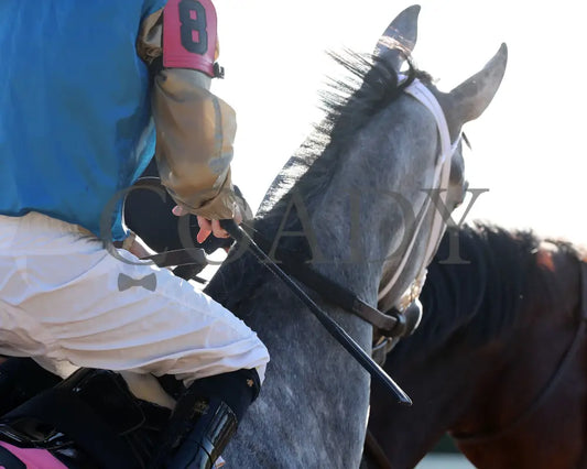 Hit Show - The Hagyard Fayette 102624 Race 08 Kee Post Parade 02 Keeneland