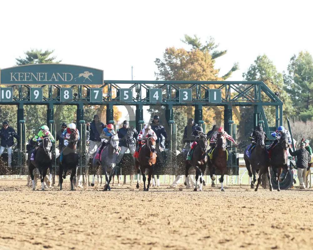 Hit Show - The Hagyard Fayette 102624 Race 08 Kee Start 01 Keeneland