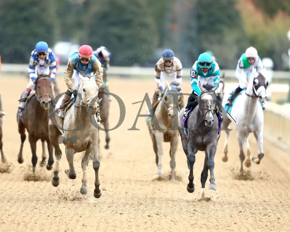 HIT SHOW - The Hagyard Fayette G3 - 10-25-25 - R09 - KEE - Gallop Out 01 Indiana Grand