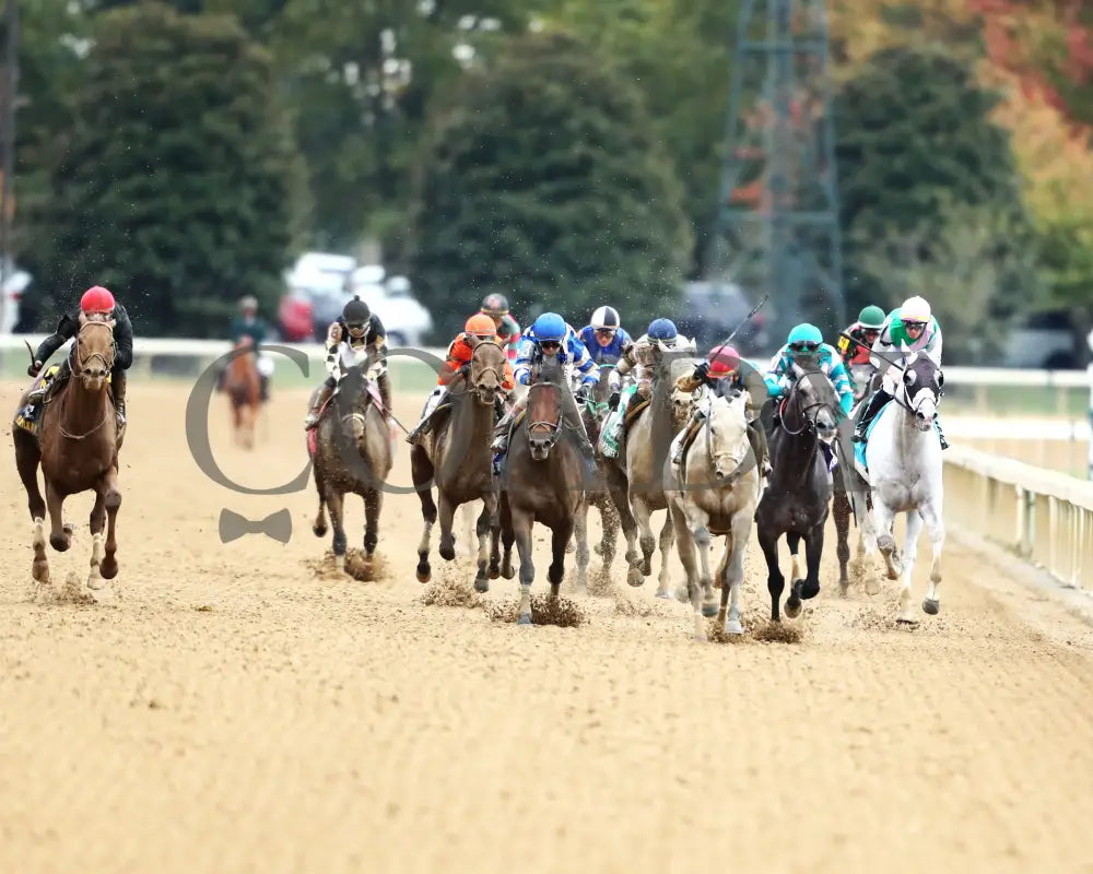 HIT SHOW - The Hagyard Fayette G3 - 10-25-25 - R09 - KEE - Head On 01 Indiana Grand