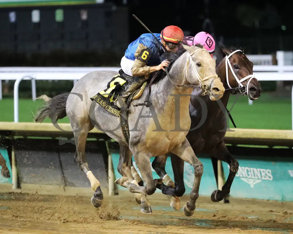 Hit Show - The Lukas Classic G2 11Th Running 09-28-24 R10 Churchill Downs Finish 02