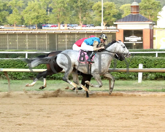 HIT SHOW - The West Virginia Governor’s Stakes - 08-03-25 - R07 - MNR - Finish 01 Mountaineer Park