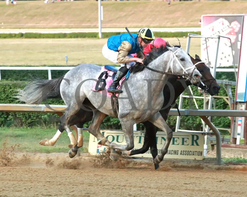 HIT SHOW - The West Virginia Governor’s Stakes - 08-03-25 - R07 - MNR - Finish 02 Mountaineer Park