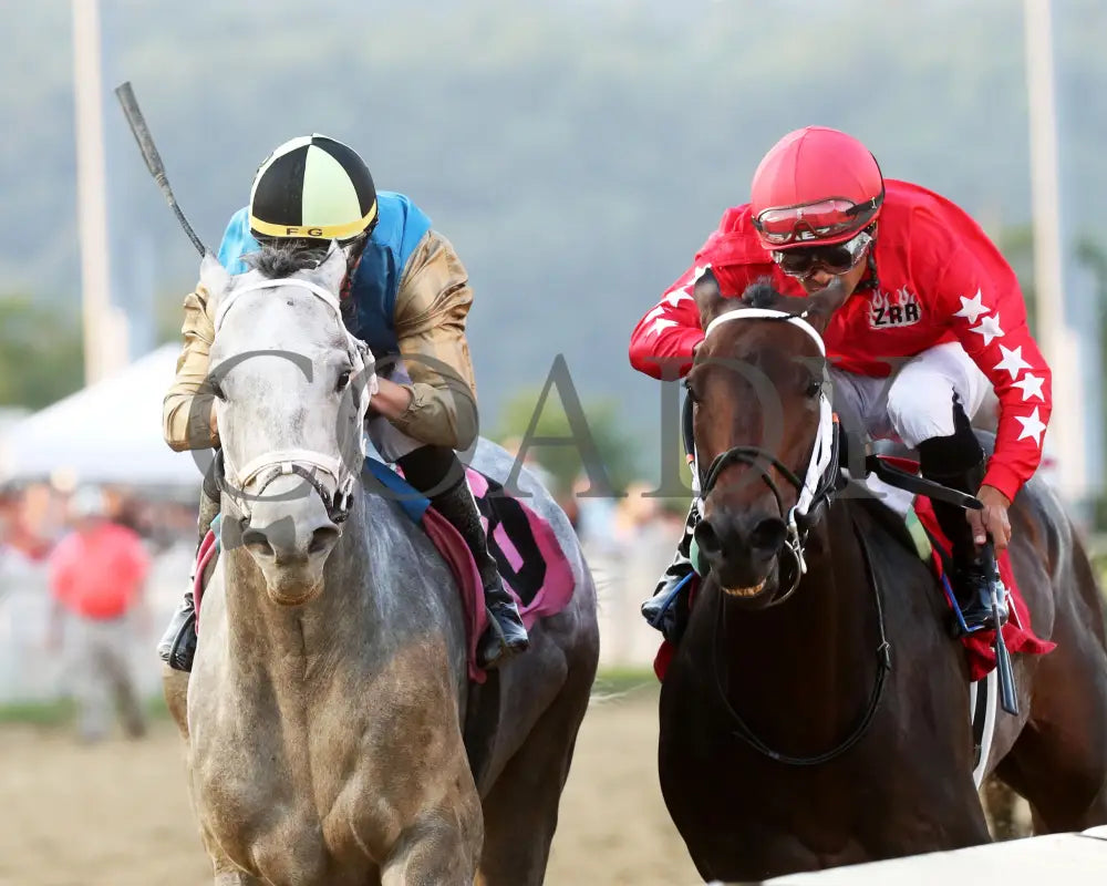 HIT SHOW - The West Virginia Governor’s Stakes - 08-03-25 - R07 - MNR - Inside Finish 01 Mountaineer Park