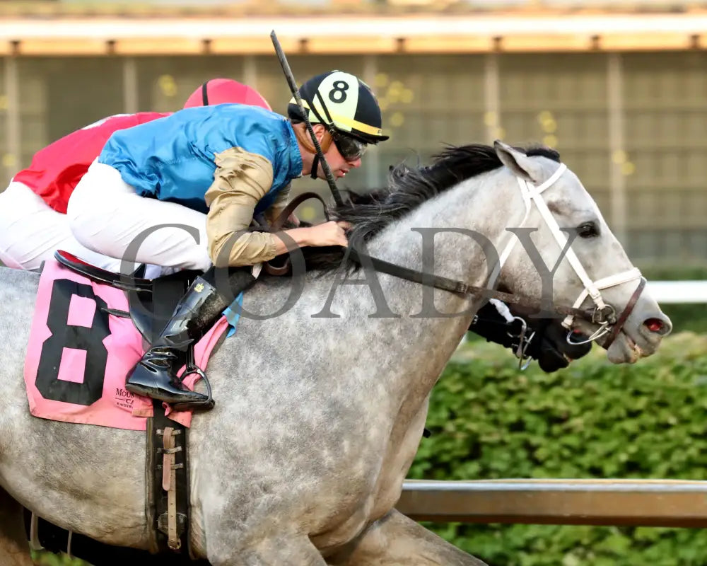 HIT SHOW - The West Virginia Governor’s Stakes - 08-03-25 - R07 - MNR - Tight Finish 01 Mountaineer Park
