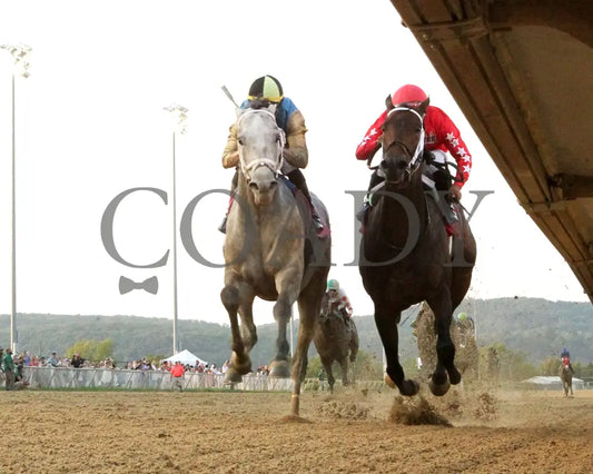 HIT SHOW - The West Virginia Governor’s Stakes - 08-03-25 - R07 - MNR - Under Rail 01 Mountaineer Park