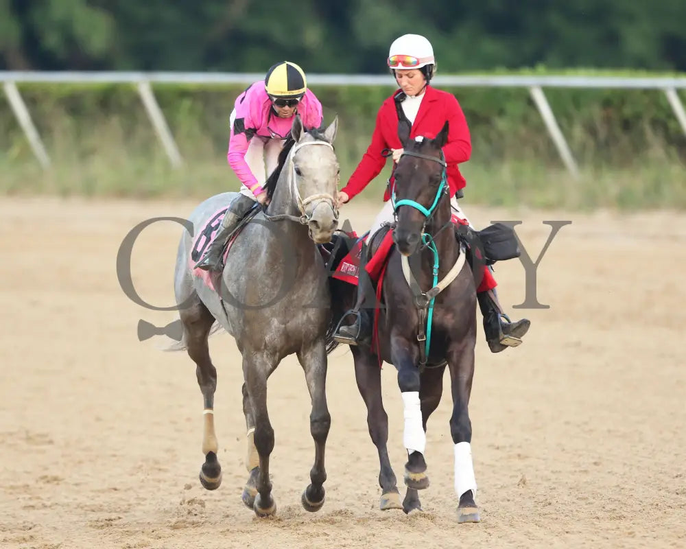 Hit Show - The West Virginia Governor’s Stakes G3 08-04-24 R07 Mnr Come Back 01 Mountaineer Park