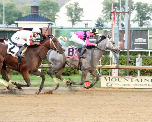 Hit Show - The West Virginia Governor’s Stakes G3 08-04-24 R07 Mnr Finish 01 Mountaineer Park