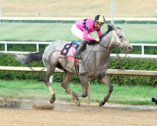 Hit Show - The West Virginia Governor’s Stakes G3 08-04-24 R07 Mnr Finish 02 Mountaineer Park