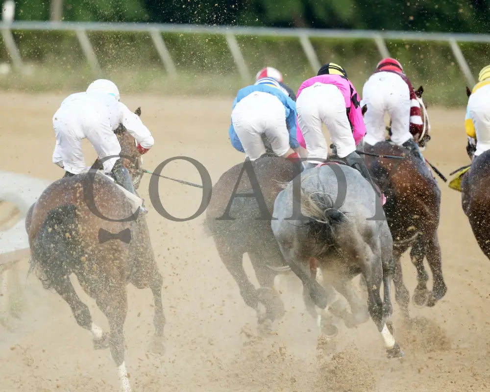 Hit Show - The West Virginia Governor’s Stakes G3 08-04-24 R07 Mnr First Turn 02 Mountaineer Park