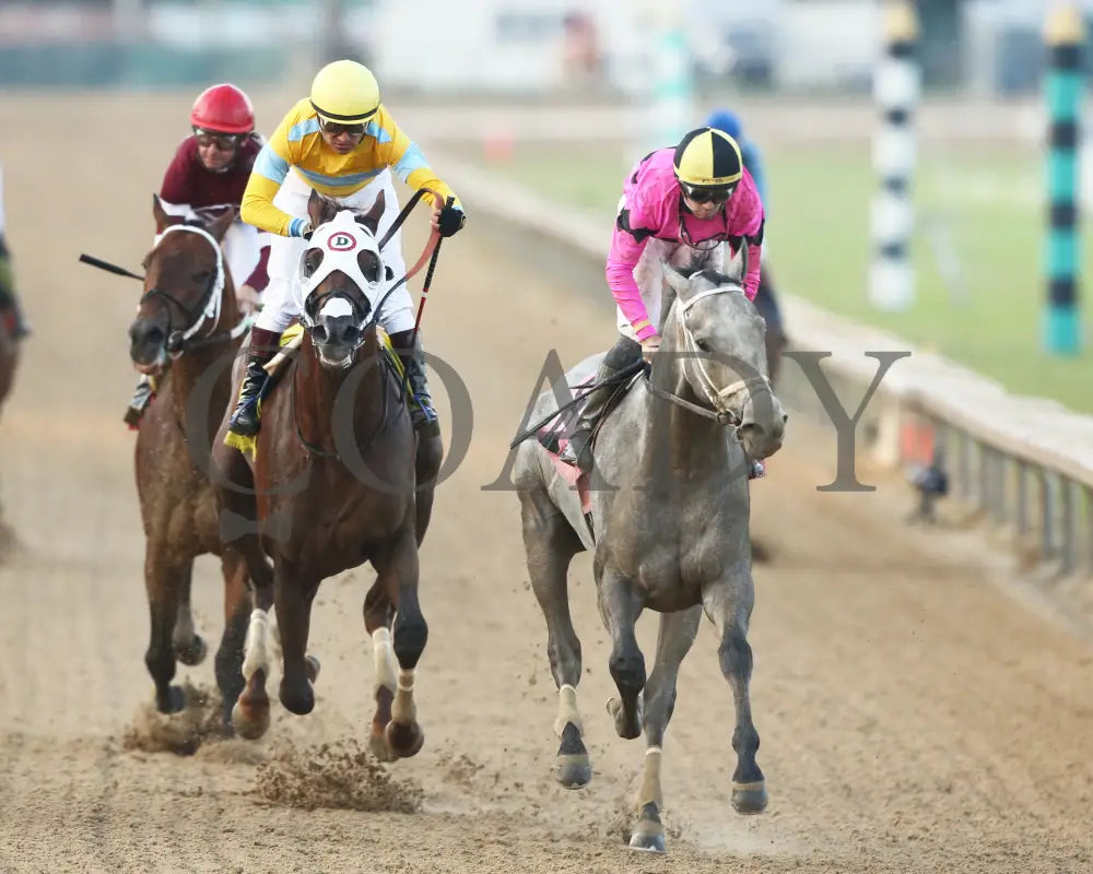 Hit Show - The West Virginia Governor’s Stakes G3 08-04-24 R07 Mnr Gallop Out 01 Mountaineer Park