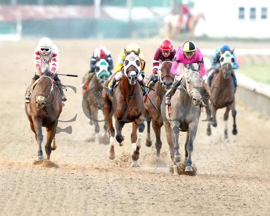 Hit Show - The West Virginia Governor’s Stakes G3 08-04-24 R07 Mnr Head On 01 Mountaineer Park