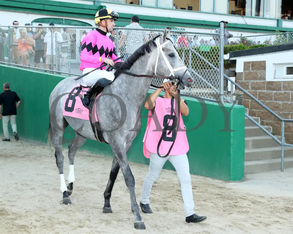 Hit Show - The West Virginia Governor’s Stakes G3 08-04-24 R07 Mnr Post Parade 05 Mountaineer Park