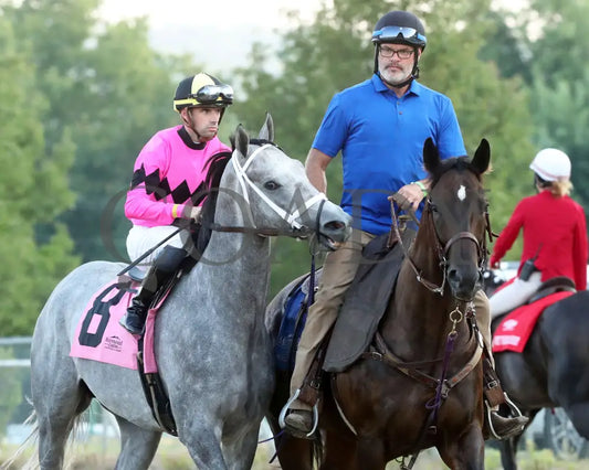 Hit Show - The West Virginia Governor’s Stakes G3 08-04-24 R07 Mnr Post Parade 04 Mountaineer Park
