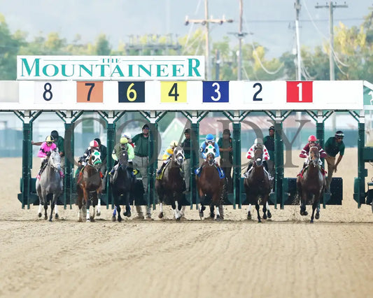 Hit Show - The West Virginia Governor’s Stakes G3 08-04-24 R07 Mnr Start 01 Mountaineer Park