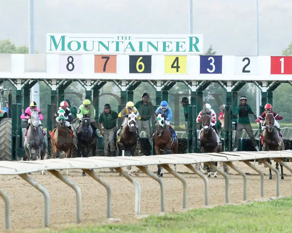 Hit Show - The West Virginia Governor’s Stakes G3 08-04-24 R07 Mnr Start 02 Mountaineer Park