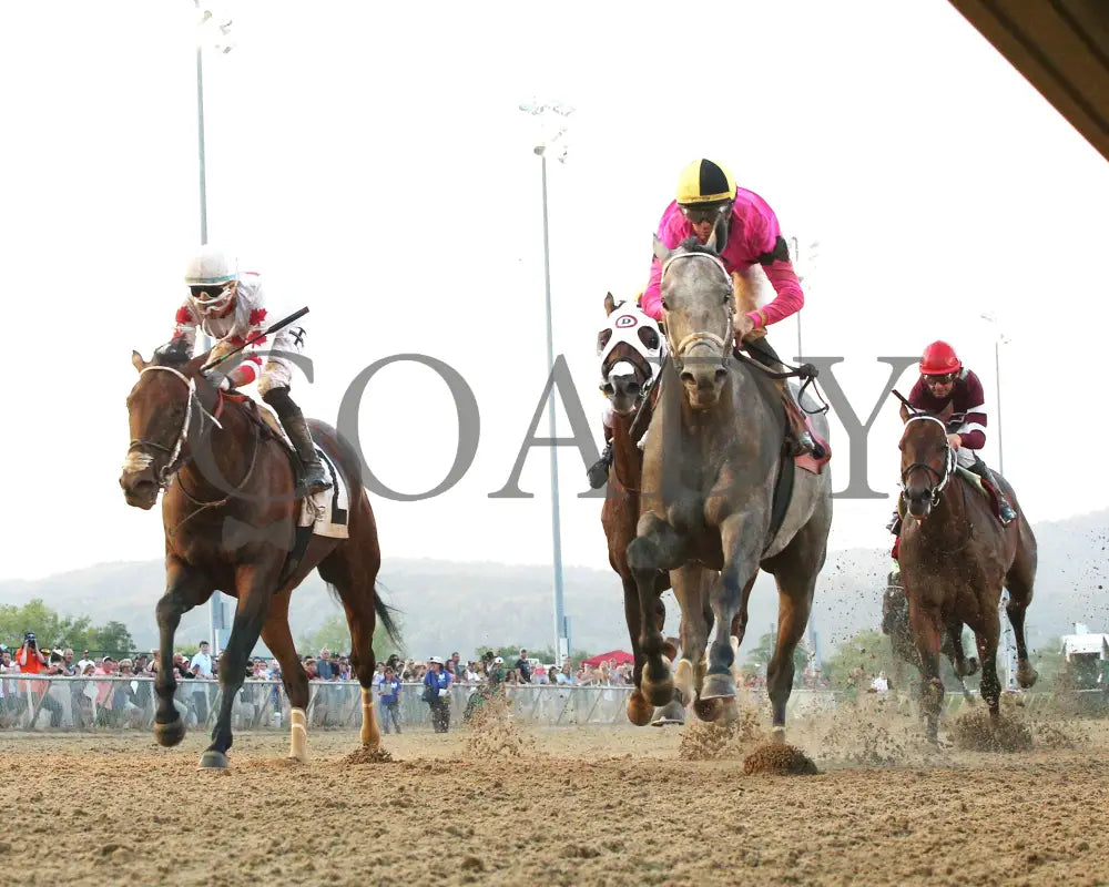 Hit Show - The West Virginia Governor’s Stakes G3 08-04-24 R07 Mnr Under Rail 01 Mountaineer Park