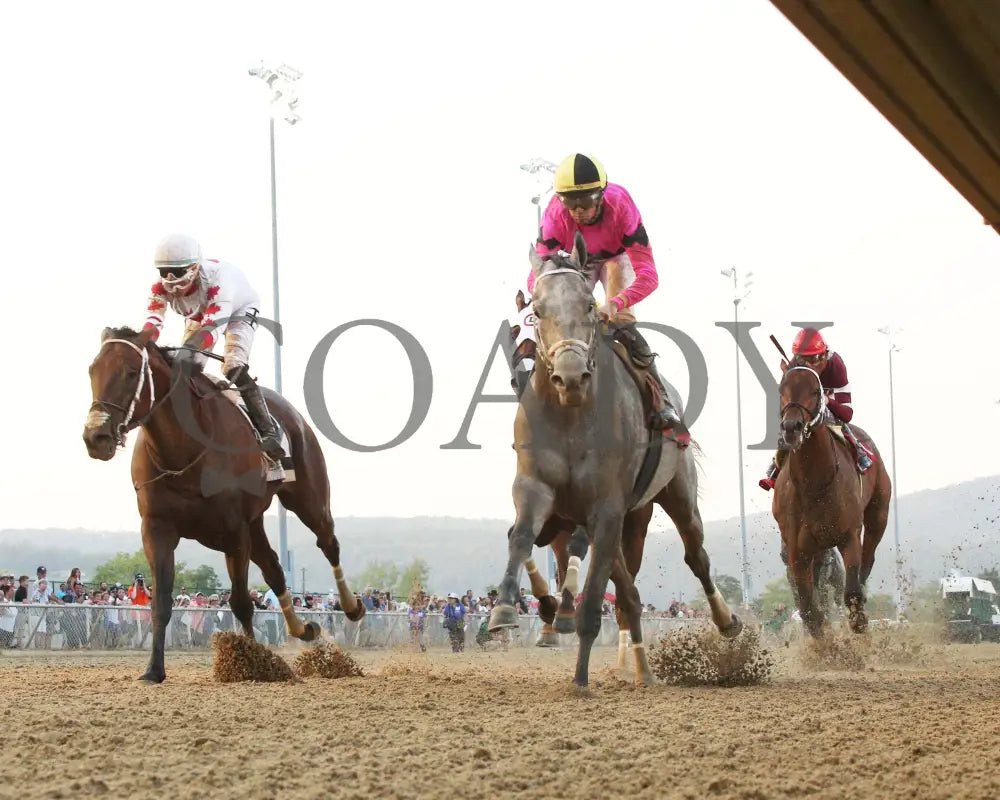 Hit Show - The West Virginia Governor’s Stakes G3 08-04-24 R07 Mnr Under Rail First Pass 01