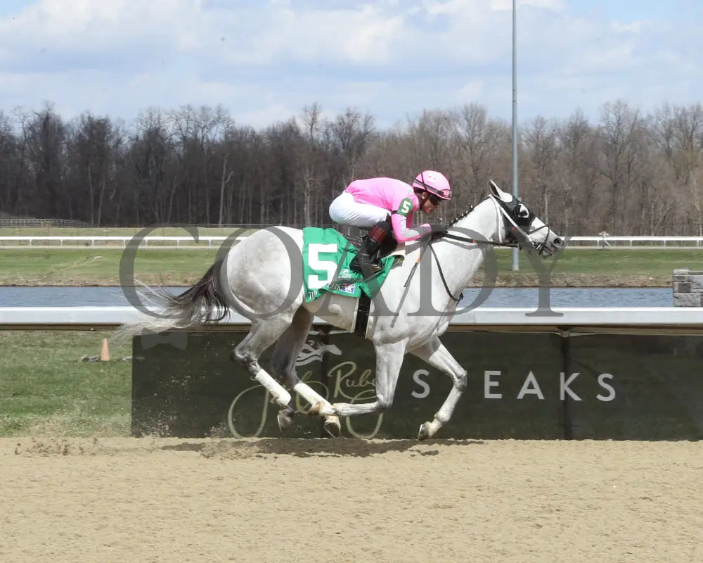 HOLD MY BOURBON - 03-22-25 - R03 - TP - Finish 01 Turfway Park