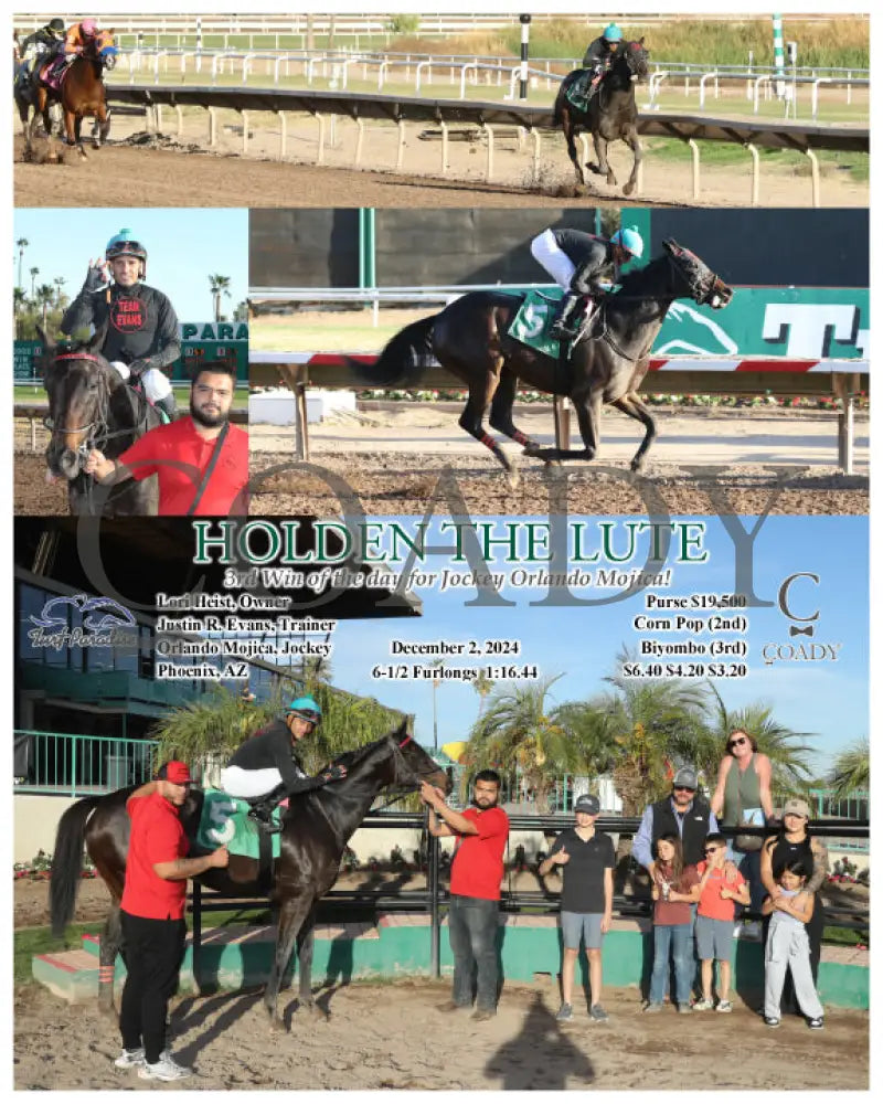 Holden The Lute - 3Rd Win Of The Day For Jockey Orlando Mojica! 12-02-24 R07 Tup Turf Paradise