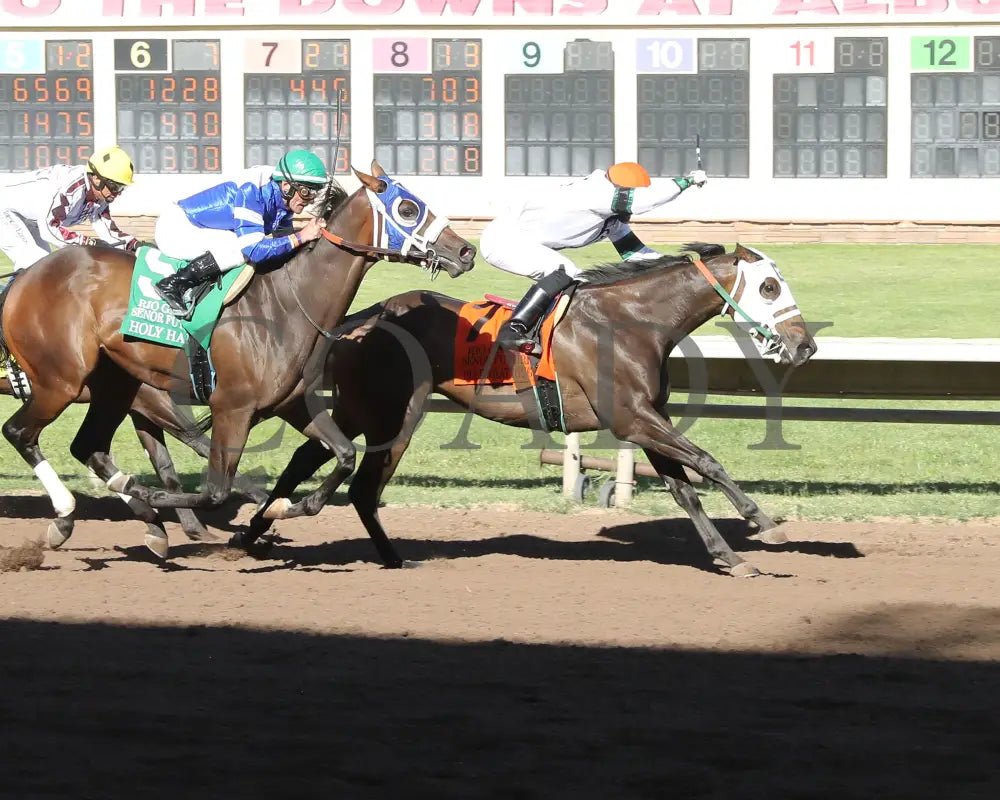 Holdwhatyougot - Rio Grande Senor Thoroughbred Futurity 08-18-24 R11 The Downs At Albuquerque