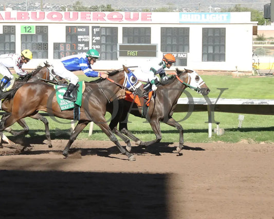 Holdwhatyougot - Rio Grande Senor Thoroughbred Futurity 08-18-24 R11 The Downs At Albuquerque Finish