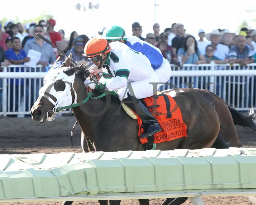 Holdwhatyougot - Rio Grande Senor Thoroughbred Futurity 08-18-24 R11 The Downs At Albuquerque