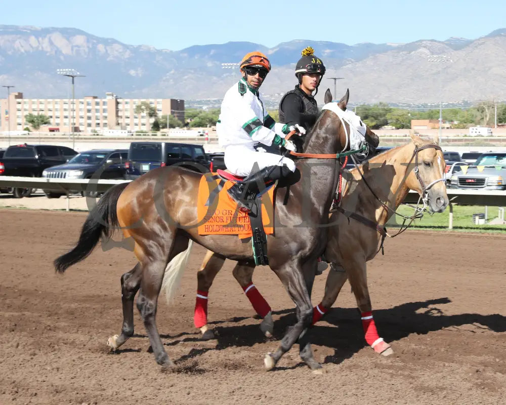 Holdwhatyougot - Rio Grande Senor Thoroughbred Futurity 08-18-24 R11 The Downs At Albuquerque Post