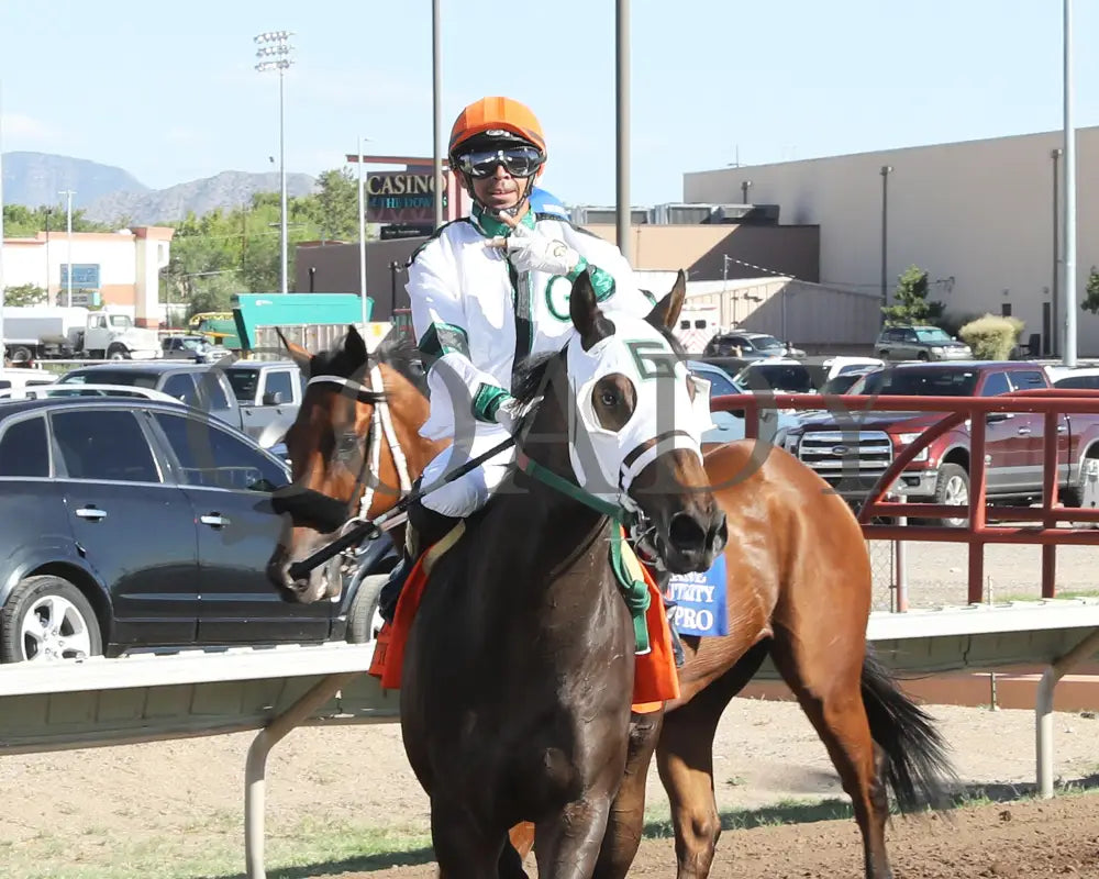 Holdwhatyougot - Rio Grande Senor Thoroughbred Futurity 08-18-24 R11 The Downs At Albuquerque