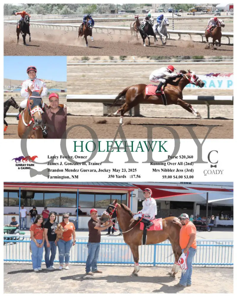 HOLEYHAWK - 05-23-25 - R04 - SRP SunRay Park