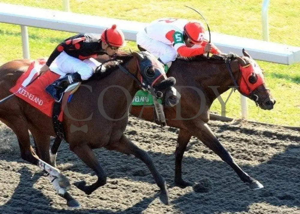 Holiday For Kitten - Aerial 100811 Race 06 Keeneland