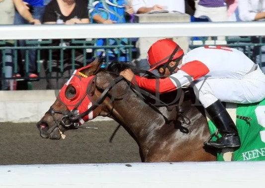 Holiday For Kitten - Inside Finish 1 100811 Ra Keeneland