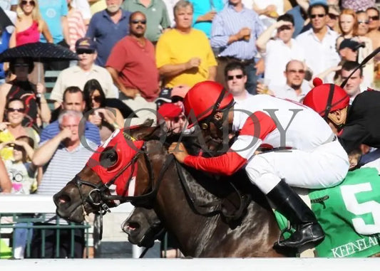 Holiday For Kitten - Inside Finish 2 100811 R Keeneland
