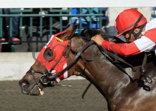 Holiday For Kitten - Inside Finish 2 100811 Ra Keeneland