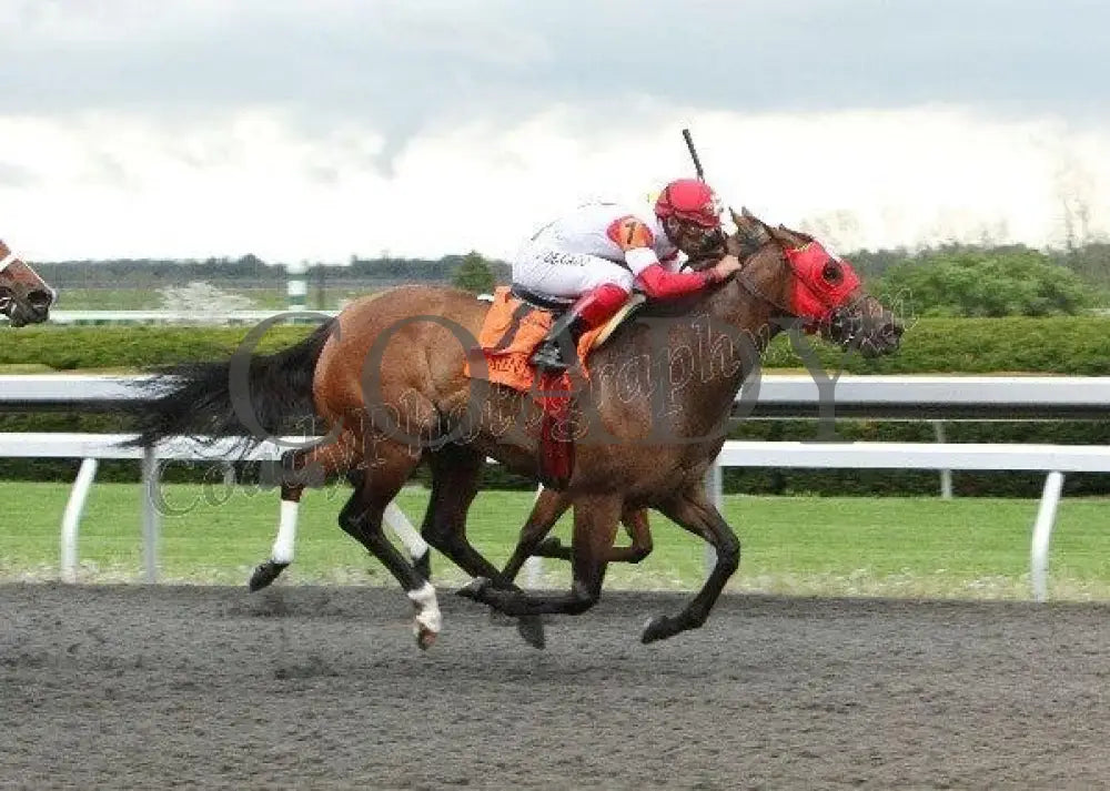 Holiday For Kitten - The Giant’s Causeway Keeneland