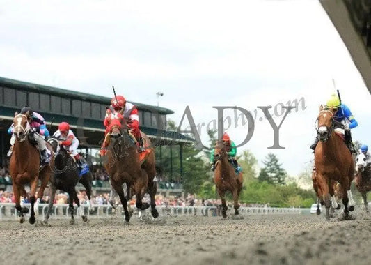 Holiday For Kitten - The Giant’s Causeway Keeneland