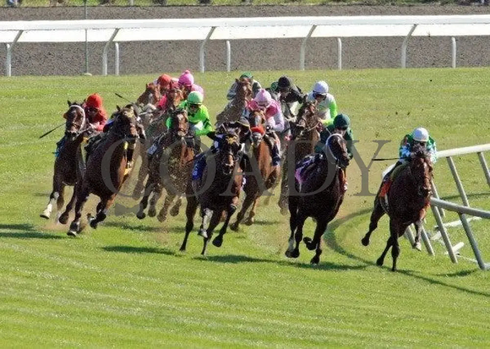 Holiday For Kitten - Turn 1 100811 Race 06 Keeneland
