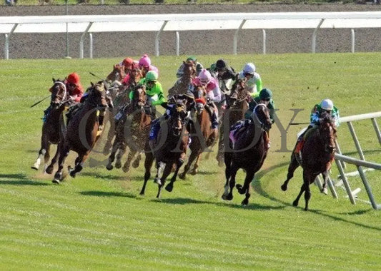 Holiday For Kitten - Turn 1 100811 Race 06 Keeneland