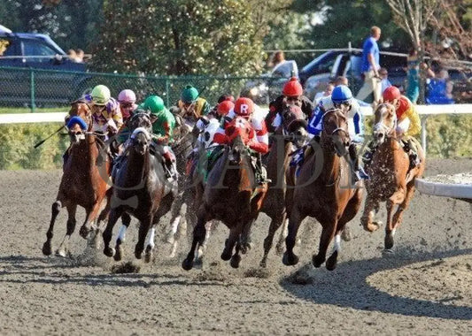 Holiday For Kitten - Turn 100811 Race 06 Keeneland
