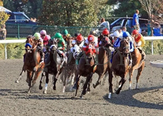 Holiday For Kitten - Turn 2 100811 Race 06 Keeneland