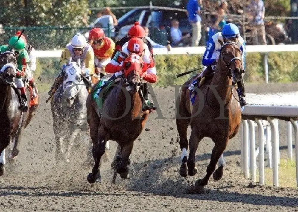 Holiday For Kitten - Turn Tight 100811 Race 06 Keeneland