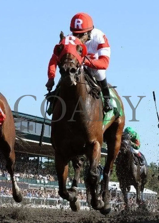 Holiday For Kitten - Under Rail 100811 Race 0 Keeneland