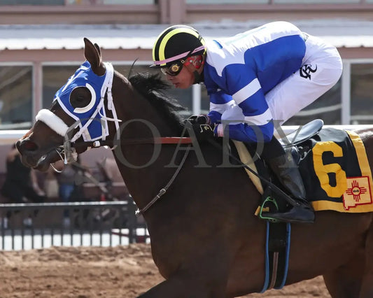 HOLY HANK - New Mexico Breeders’ Derby-20th Running - 03-28-25 inside Sunland Park