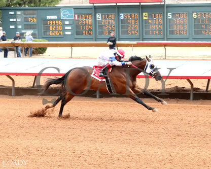 HOLY PETE - Ruidoso Quarter Horse Derby Trials - 05-25-25 - R03 - Ruidoso Downs - Finish 01 - Kurtis Coady Ruidoso Downs
