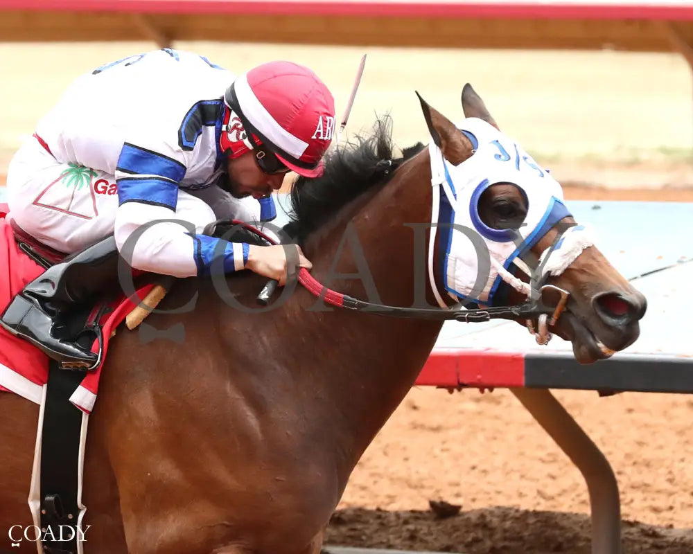 HOLY PETE - Ruidoso Quarter Horse Derby Trials - 05-25-25 - R03 - Ruidoso Downs - Finish 01 - Kurtis Coady Ruidoso Downs