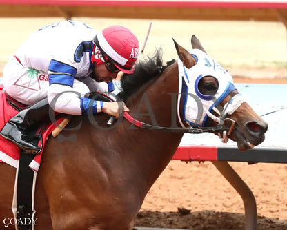 HOLY PETE - Ruidoso Quarter Horse Derby Trials - 05-25-25 - R03 - Ruidoso Downs - Finish 01 - Kurtis Coady Ruidoso Downs